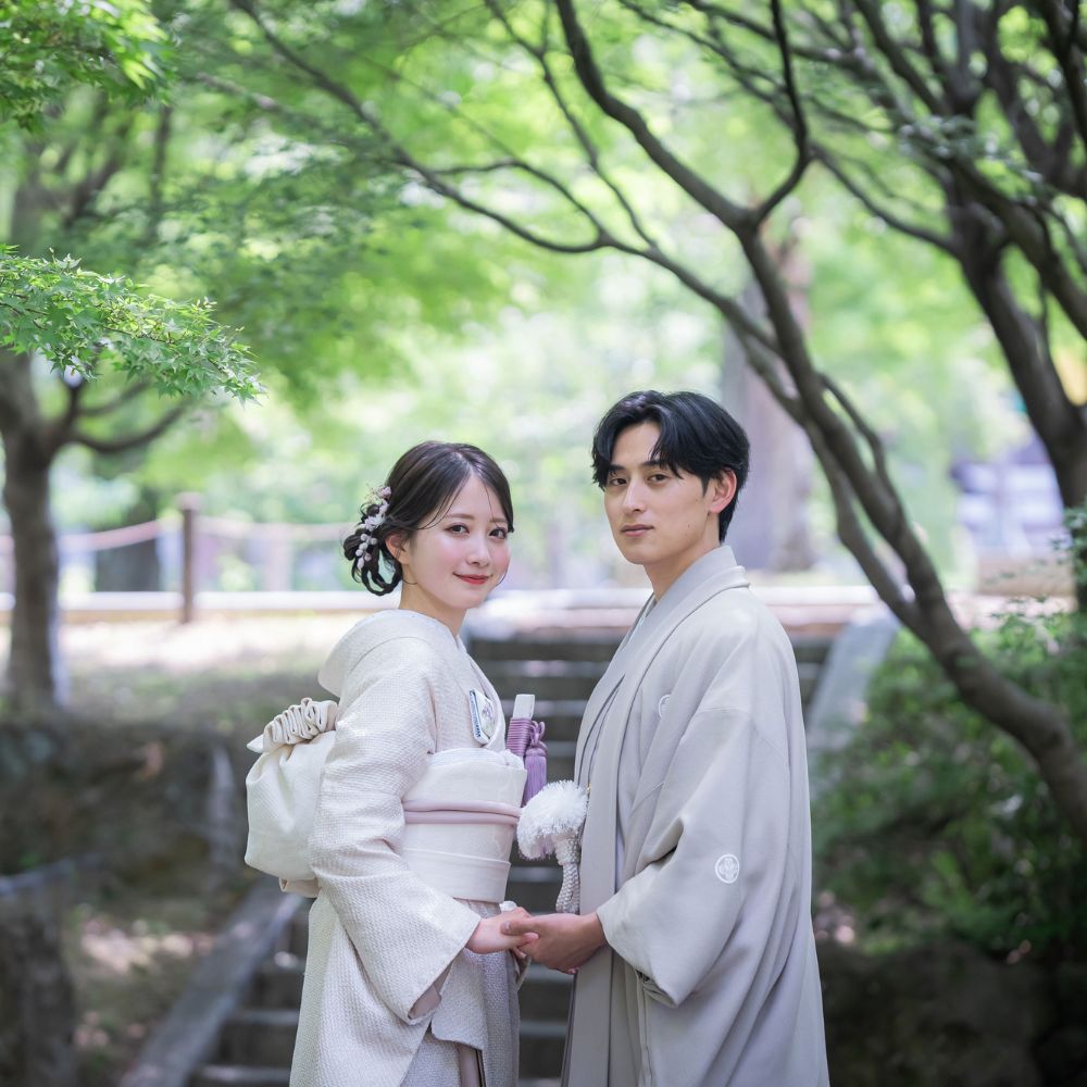 【期間限定】紅葉の智積院と八坂の塔コース