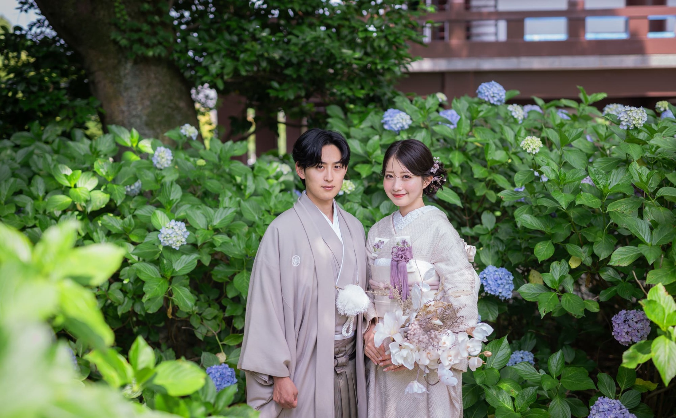 あじさいの智積院と八坂の塔