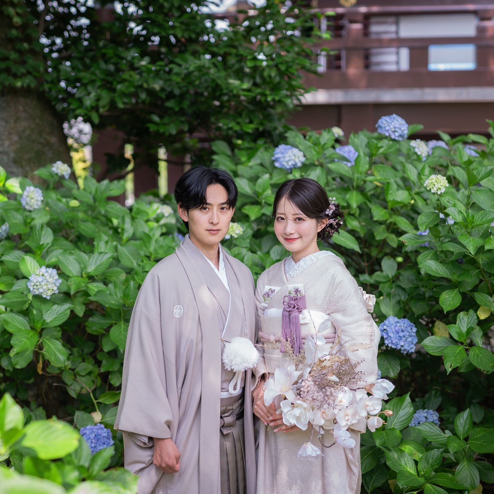 あじさいの智積院と八坂の塔