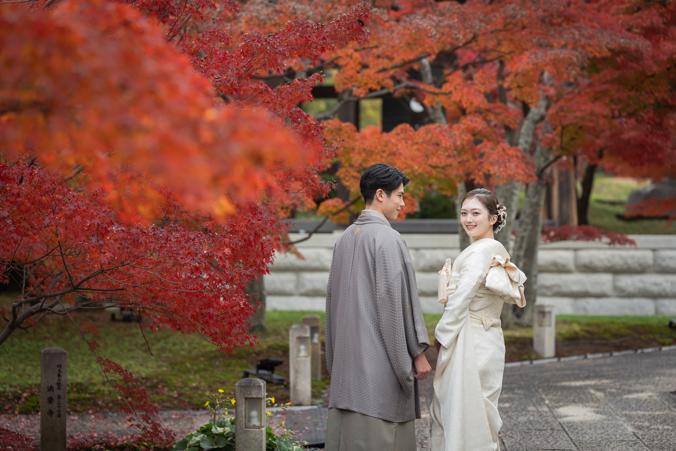 【期間限定】紅葉の智積院と八坂の塔コース