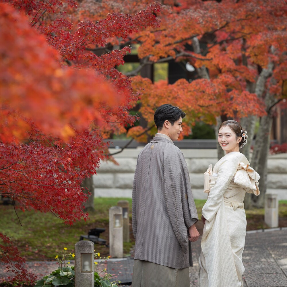 【期間限定】紅葉の智積院と八坂の塔コース