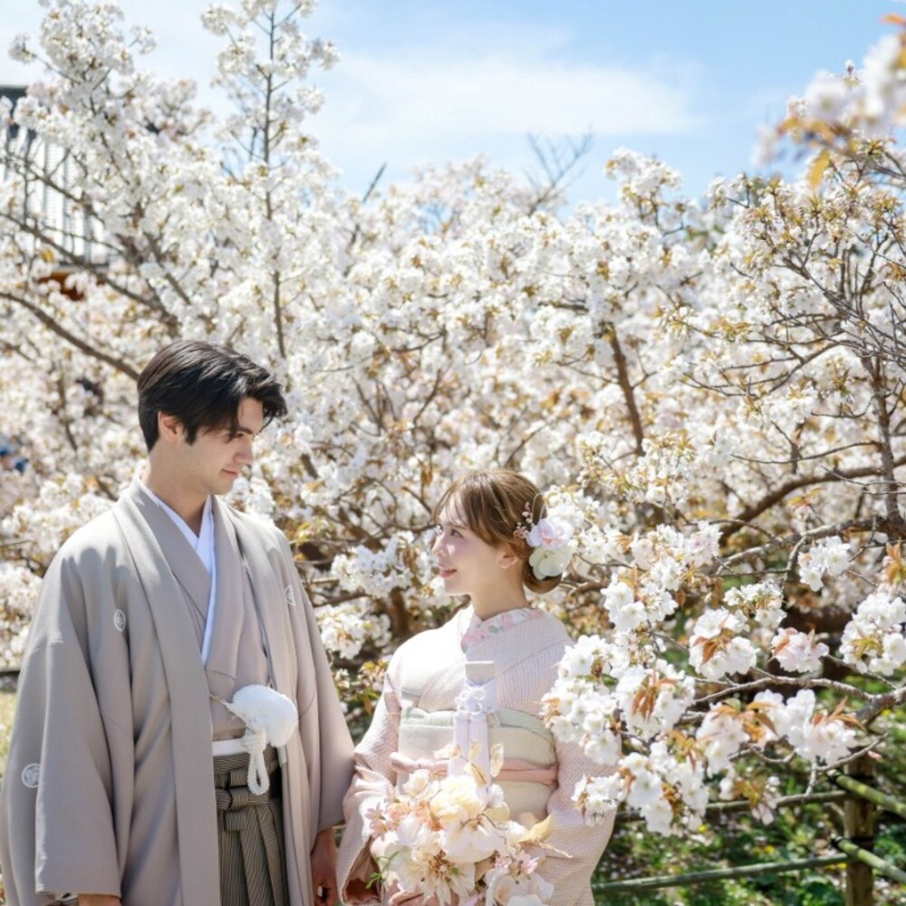 春うらら 御室桜　仁和寺コース 