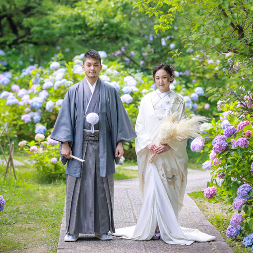 【季節限定】あじさいの智積院コース